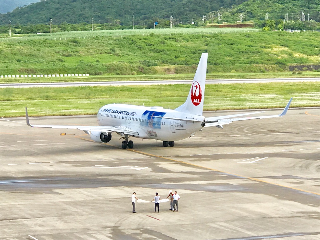 JAL JTAで安室奈美恵さんタイアップ特別仕様機、安室ジェット（AMURO