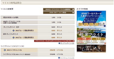 ANA+パートナー航空会社ライフタイムマイル１００万マイル記念オリジナルタグ ANA+パートナー航空会社ライフタイムマイル100万マイル記念